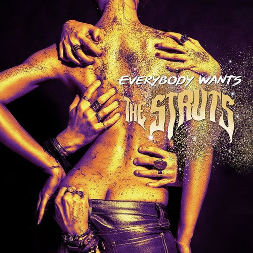 EVERYBODY WANTS - CD