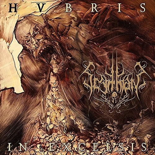 HUBRIS IN EXCELSIS - VINYL