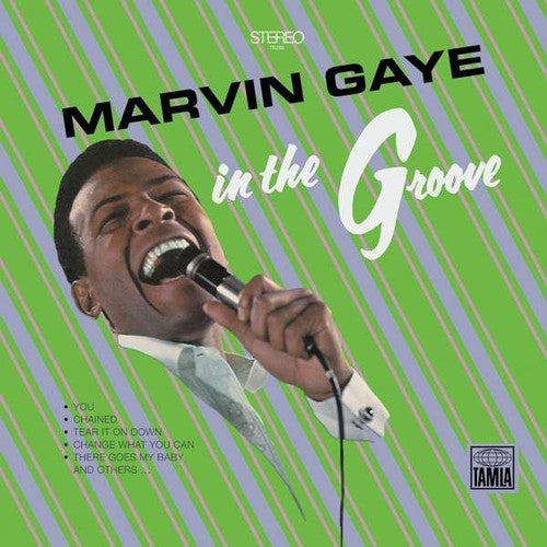 IN THE GROOVE - VINYL
