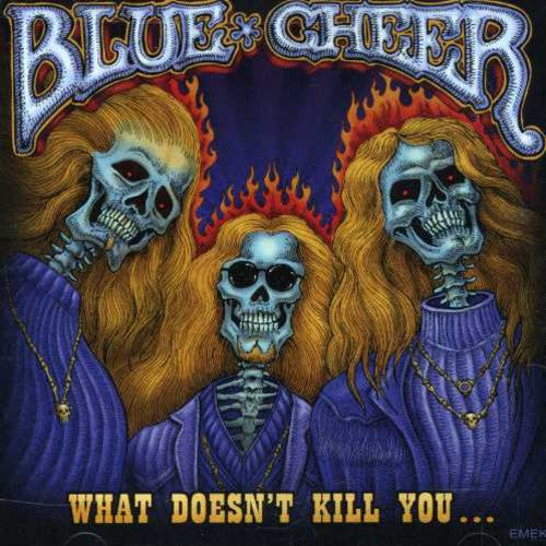 WHAT DOESNT KILL YOU - CD