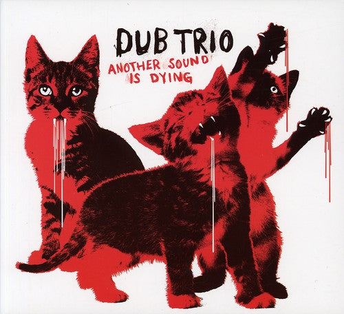 ANOTHER SOUND IS DYING - CD