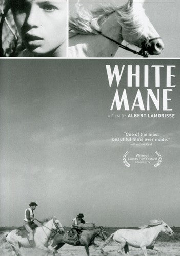 WHITE MANE - DVD