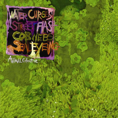 WATER CURSES (E.P.) - CD