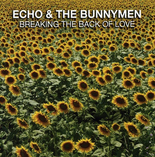 BREAKING THE BACK OF LOVE - CD