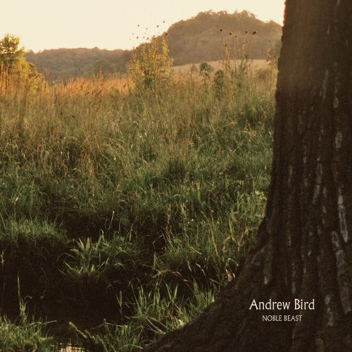 NOBLE BEAST: ALBUM REPLICA - CD