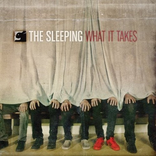 WHAT IT TAKES - CD