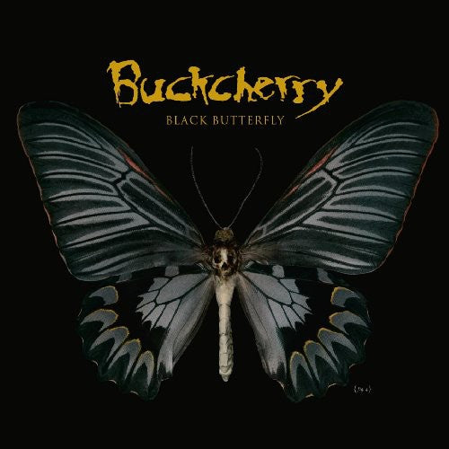 BLACK BUTTERFLY (AMENDED) - CD