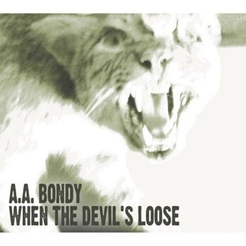 WHEN THE DEVILS LOOSE - CD