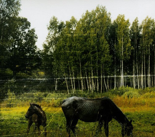 OLD PRIDE - CD