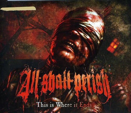 THIS IS WHERE IT ENDS (DELUXE) - CD