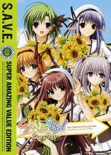 COMPLETE COLLECTION (4 DVD) - DVD