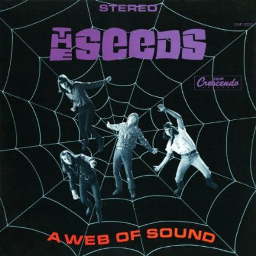 WEB OF SOUND (2 CD) - CD