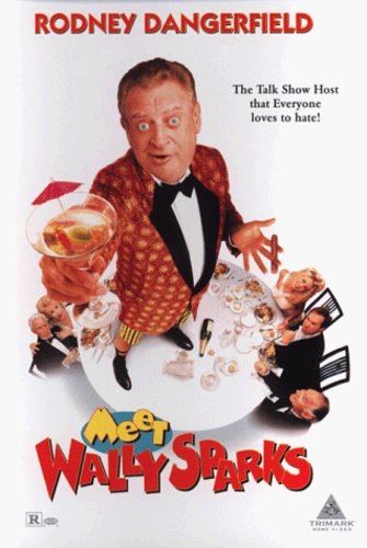 MEET WALLY SPARKS - DVD