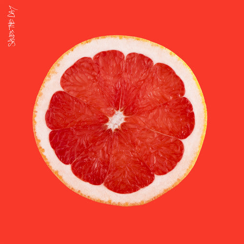 SAVES THE DAY (2013) - CD