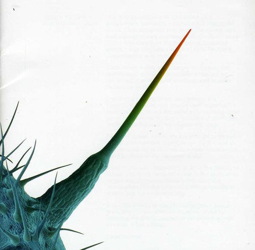 AND I LL SCRATCH YOURS - CD