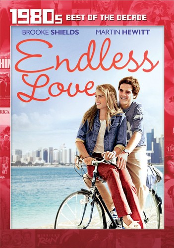 ENDLESS LOVE - DVD