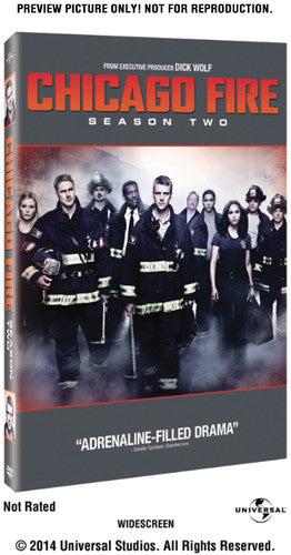 SEASON TWO (5 DVD) - CHICAGO FIRE