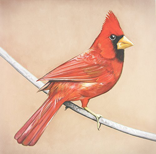 OLD CROWS/YOUNG CARDINALS (2009: 2 LP) - VINYL