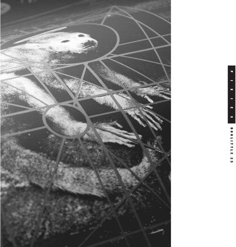 DOOLITTLE 25 (3 CD) - CD