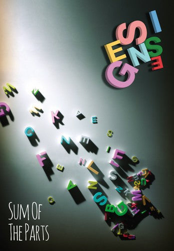 SUM OF THE PARTS (DVD) - DVD