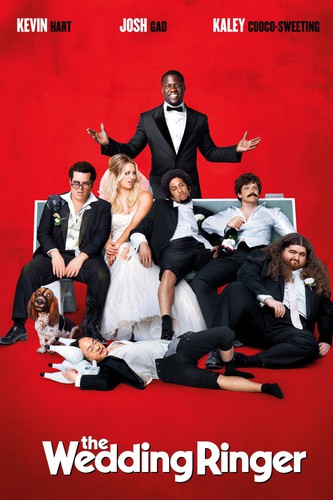 WEDDING RINGER - DVD