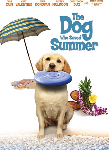 DOG WHO SAVED SUMMER - DVD
