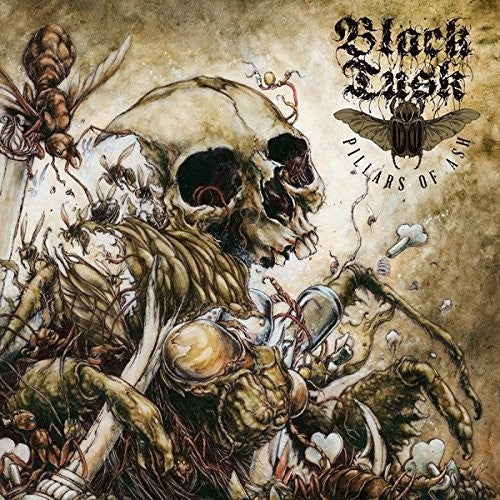 PILLARS OF ASH - CD