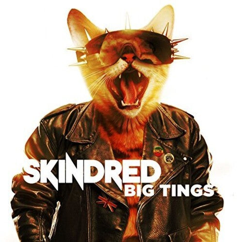 BIG TINGS (2018) - CD