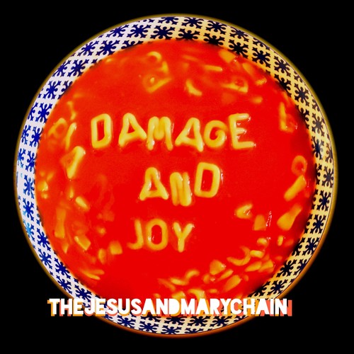 DAMAGE AND JOY - CD