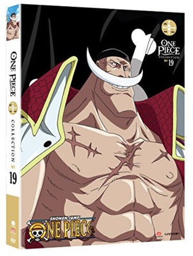 COLLECTION 19  (4 DVD) - DVD