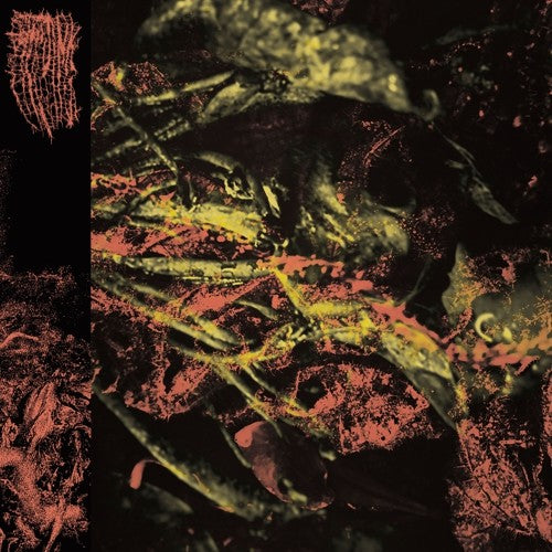 PERMANENT DESTITUTION - CD
