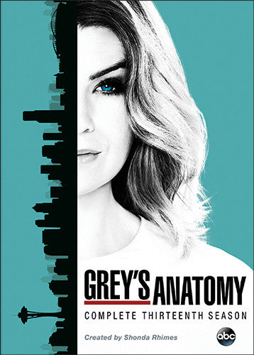COMPLETE SEASON THIRTEEN (6 DVD) - GREYS ANATOMY