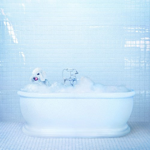 VESSEL (2018) - CD