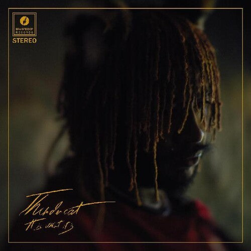 IT IS WHAT IT IS (2020) - CD