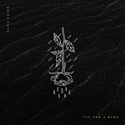 DARK SKIES (2018: ALBUM) - VINYL