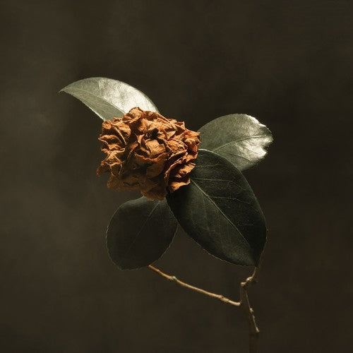 YOUNG SICK CAMELLIA (2018) - CD