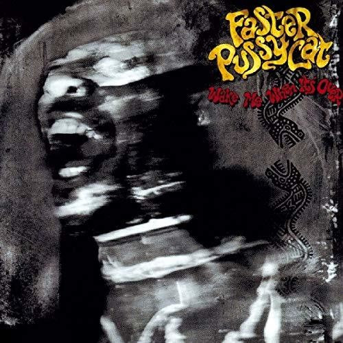 WAKE ME WHEN ITS OVER (1989) - CD