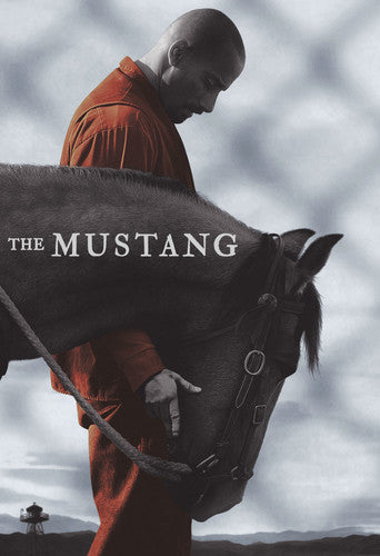 THE MUSTANG (2019) - DVD