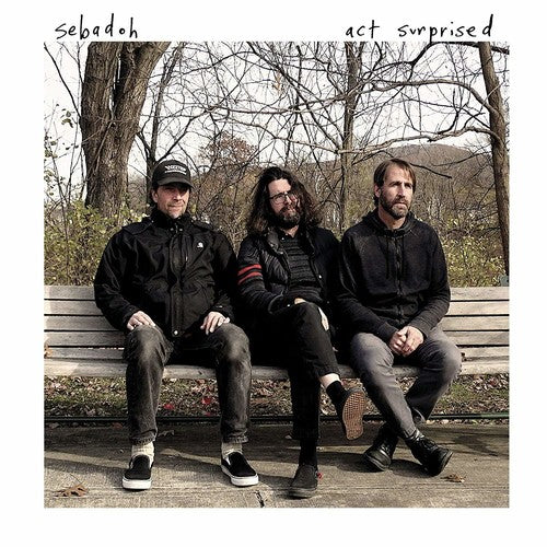 ACT SURPRISED (2019) - CD