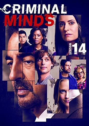 FOURTEENTH SEASON (4 DVD) - CRIMINAL MINDS