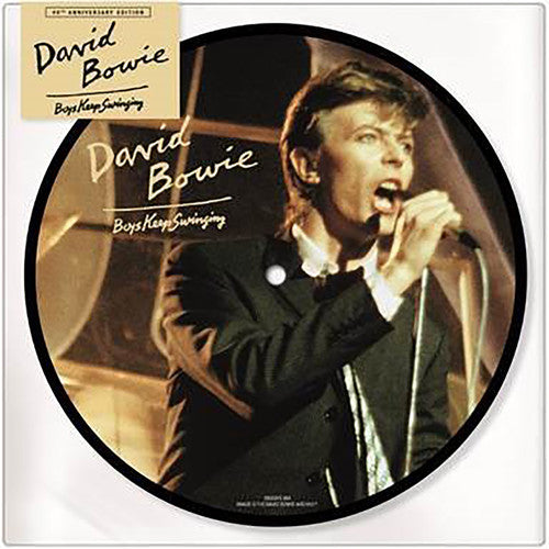 BOYS KEEP SWINGING (7  PICTURE DISC) - 7 INCH VINYL