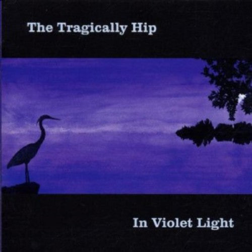IN VIOLET LIGHT - CD