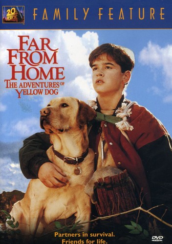 FAR FROM HOME - DVD