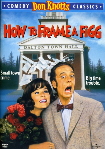 HOW TO FRAME A FIGG - DVD