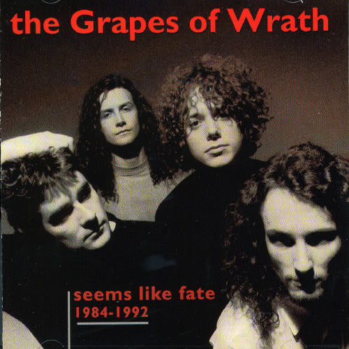SEEMS LIKE FATE 1984-1992 - CD