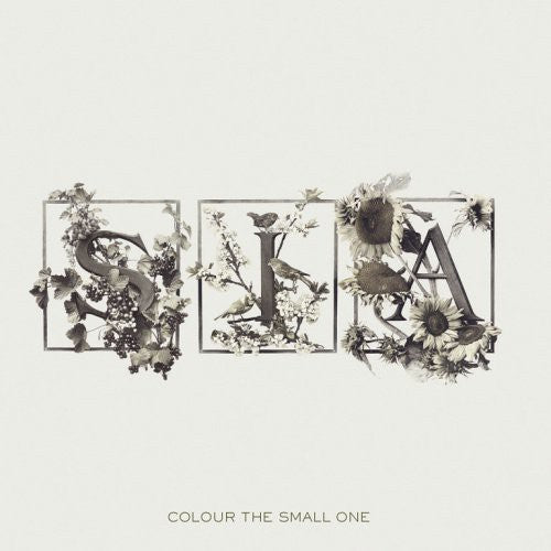 COLOUR THE SMALL ONE - CD