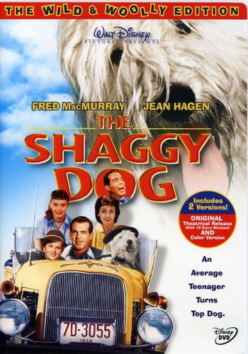 SHAGGY DOG - DVD