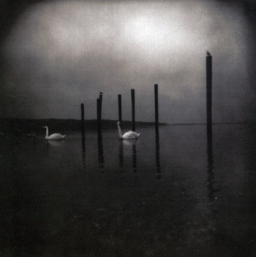 CONFERENCE OF BIRDS - CD