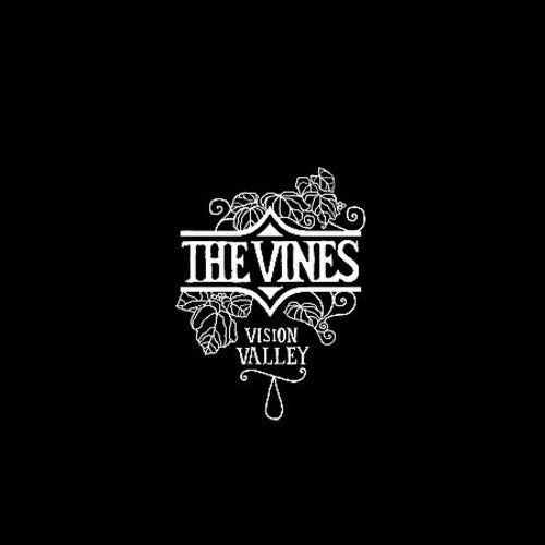 VISION VALLEY - CD