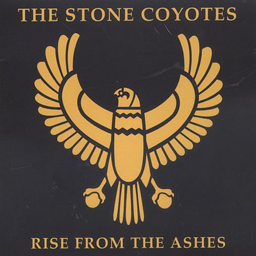 RISE FROM THE ASHES - CD